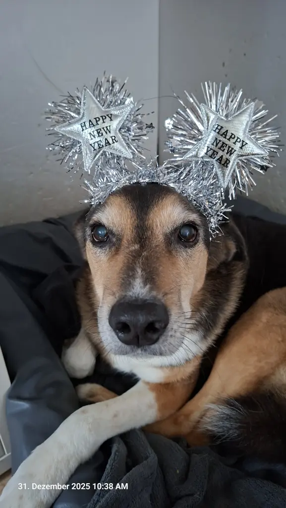Dein letztes Silvester