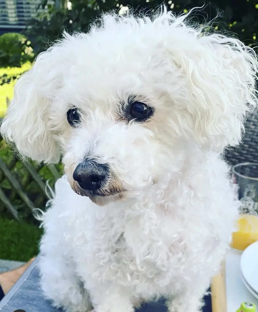 Andachtsbild von Jana Sirar