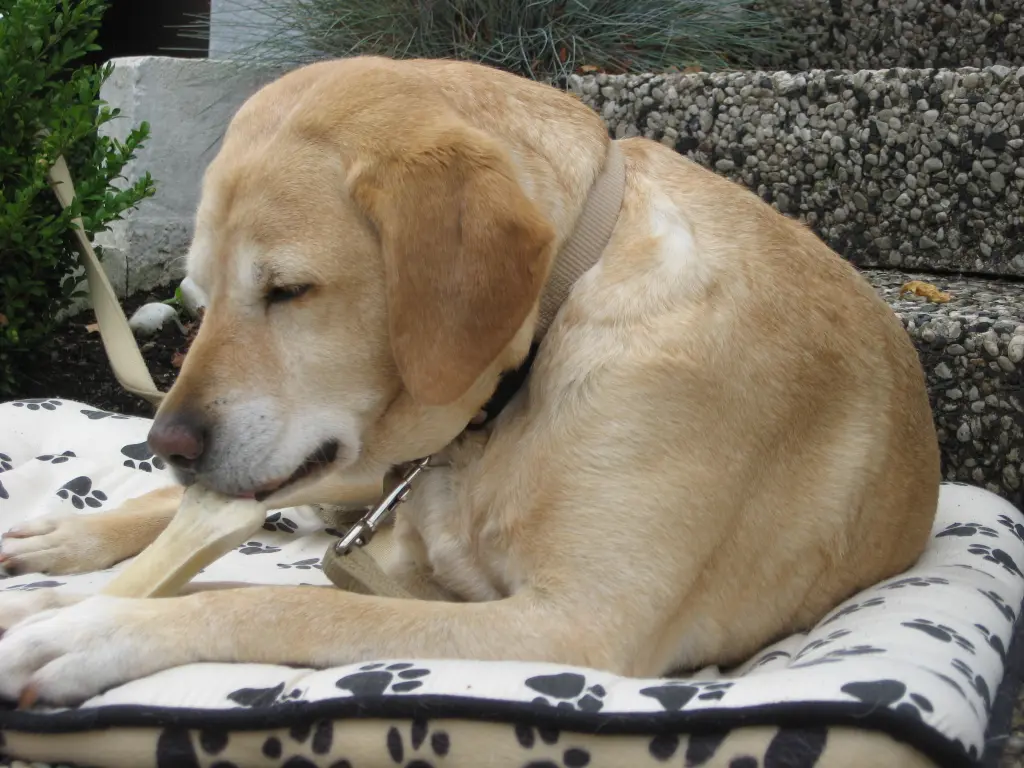 Condolence image of Dieter u. Gudrun