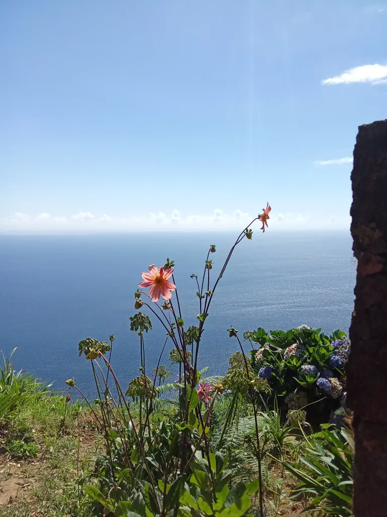 Condolence image of Daniela von den paradiesischen Azoren 🤍 mit Kimabelura im Paradies