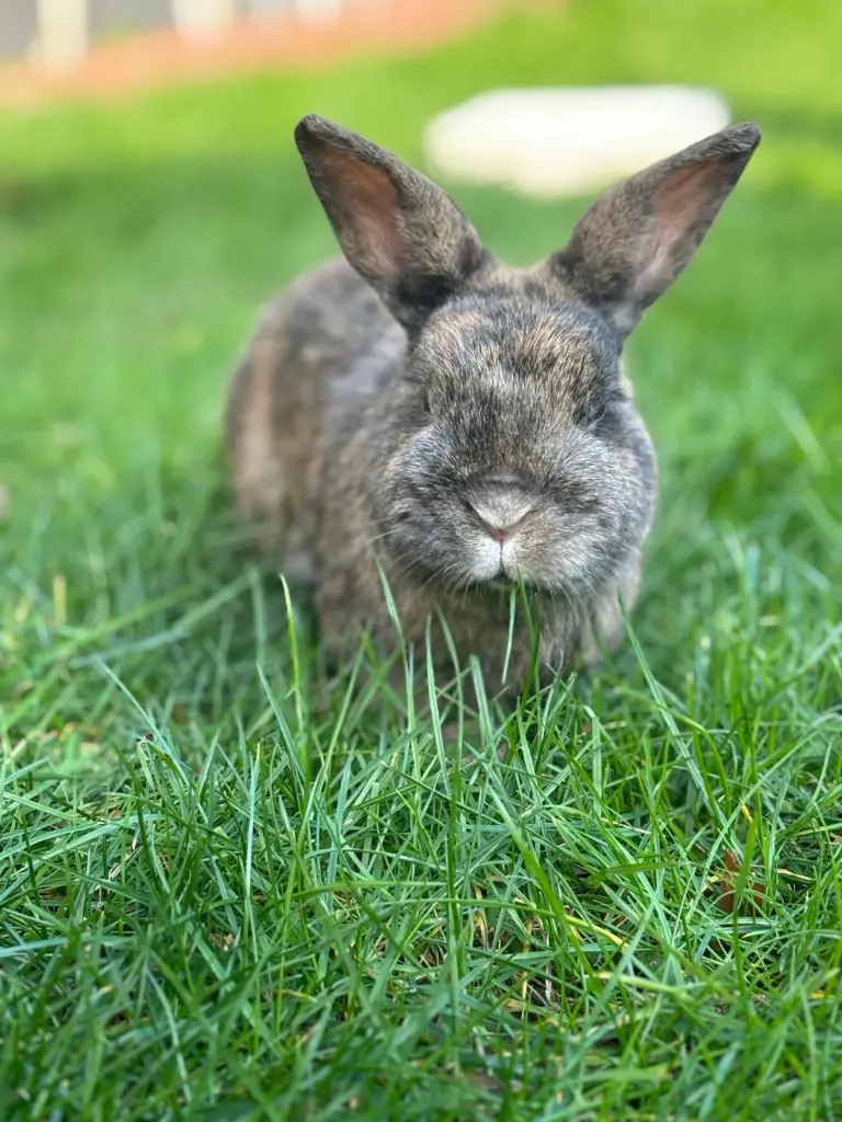 Andachtsbild von Denise Wißkirchen