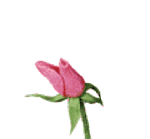 Condolence image of Mami