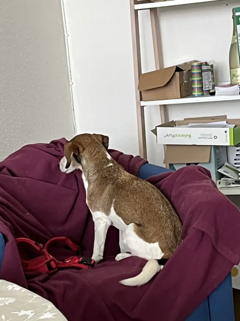 Ich bin beleidigt