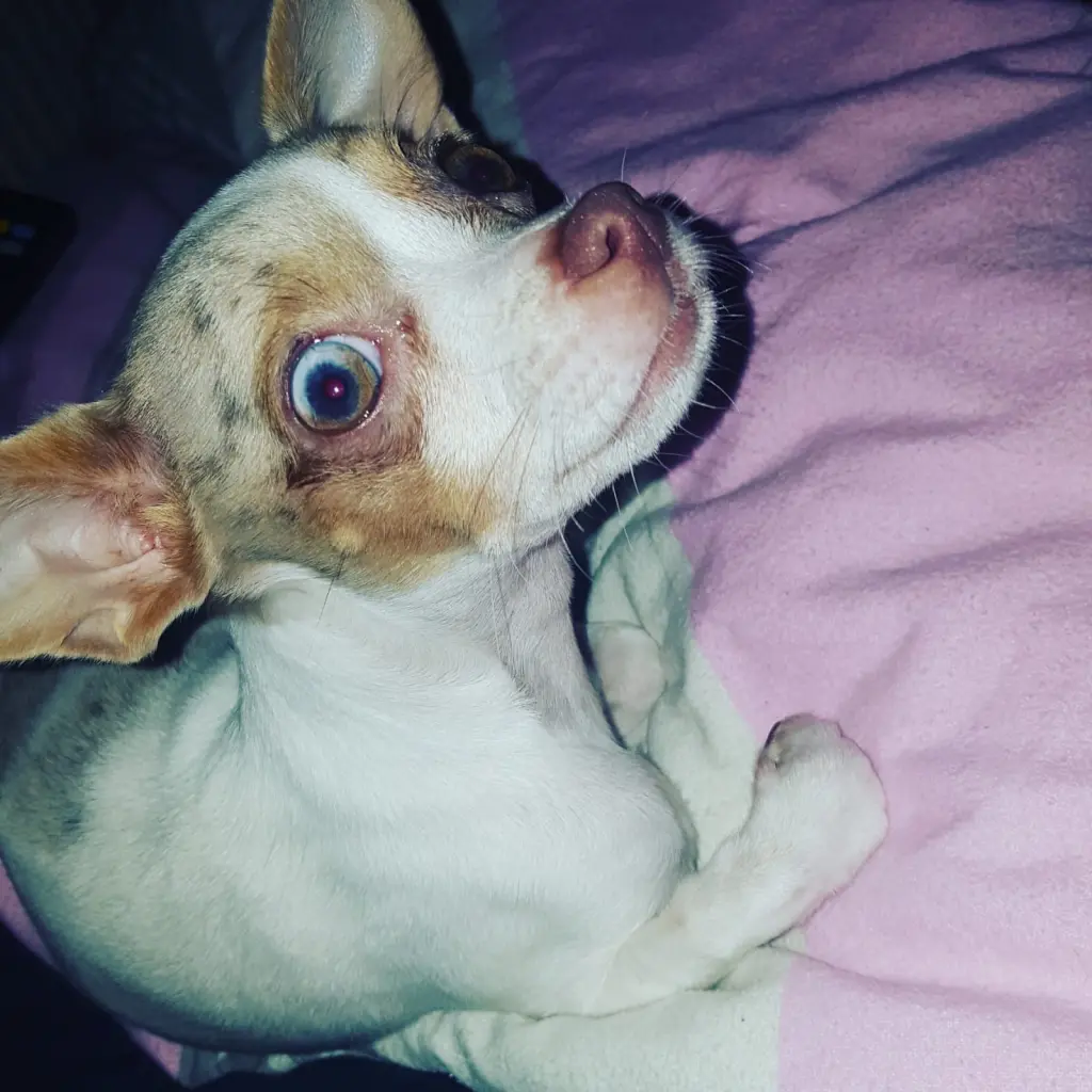 Image from Baby Lou