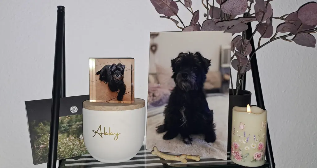 Für immer bei mir ❤️❤️❤️