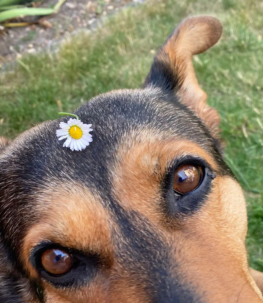 Image from Mathilda