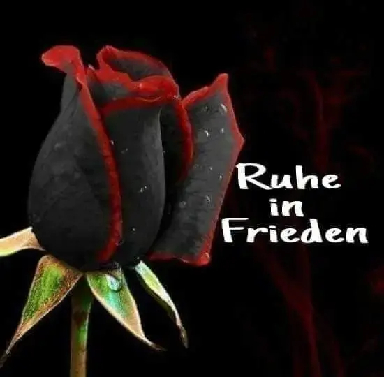 Condolence image of Konny mit Piccolino-Fly tief im 🌹