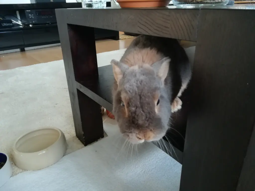 Image from Pippin