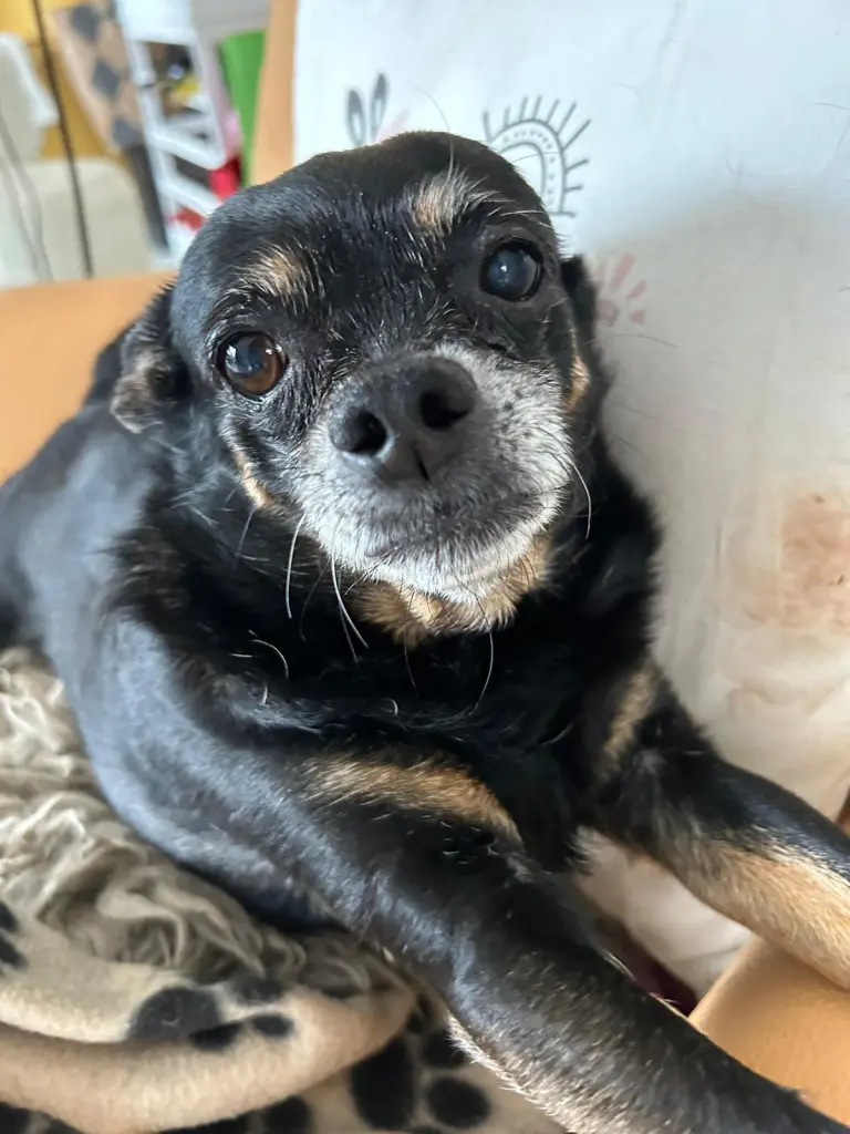 Bild von Weeny