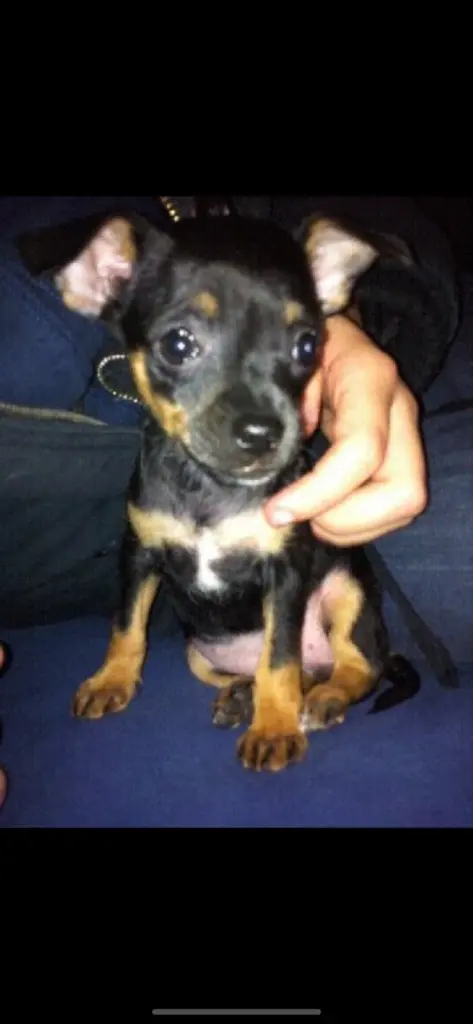 Bild von Weeny
