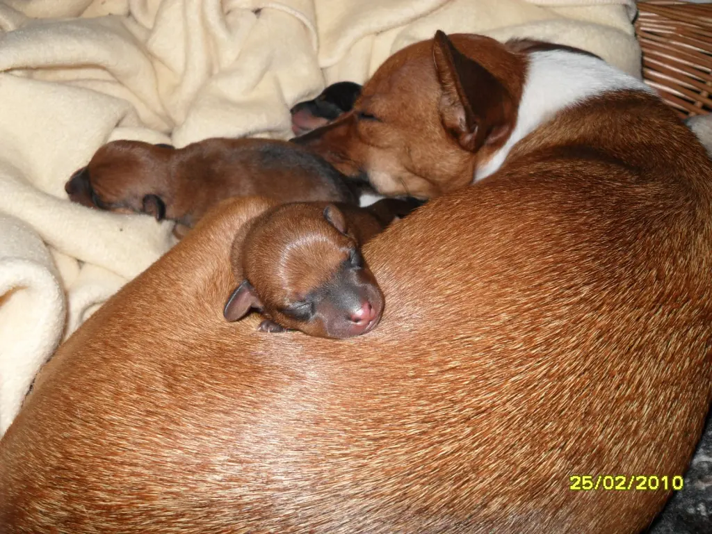 Andachtsbild von Alexandra & Schwester Fee