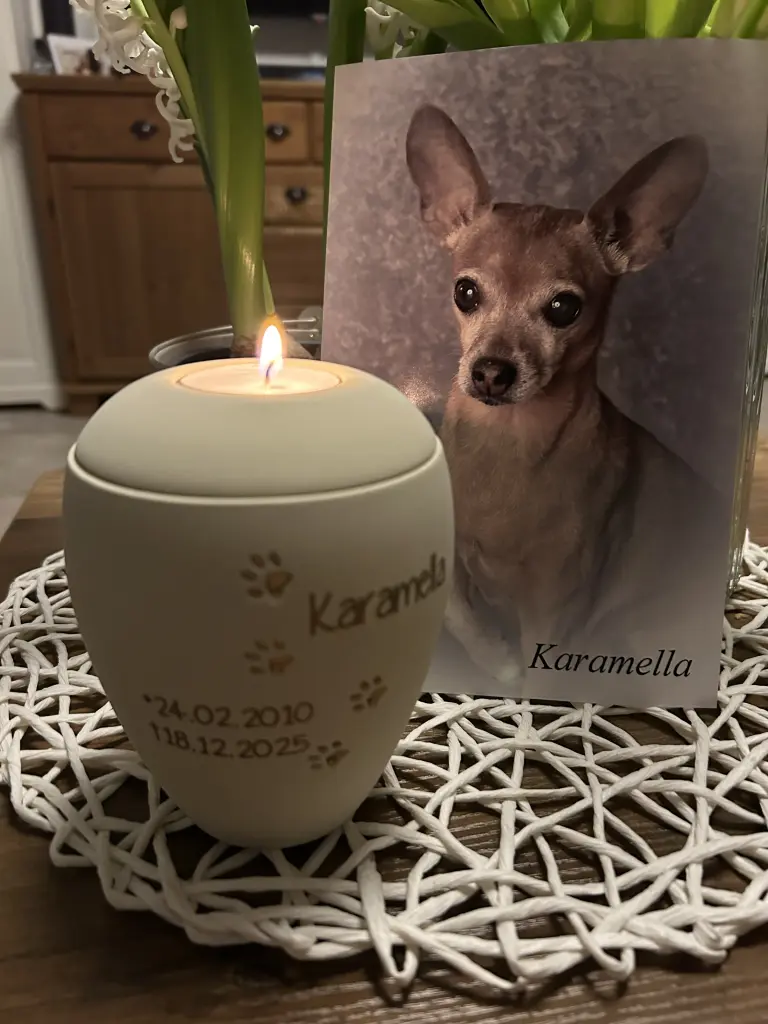 Image from Karamella