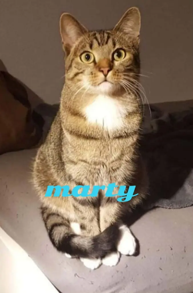 Condolence image of Margit