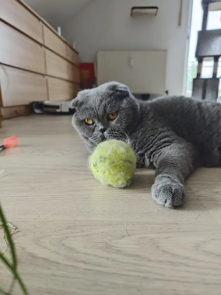 Andachtsbild von Judith