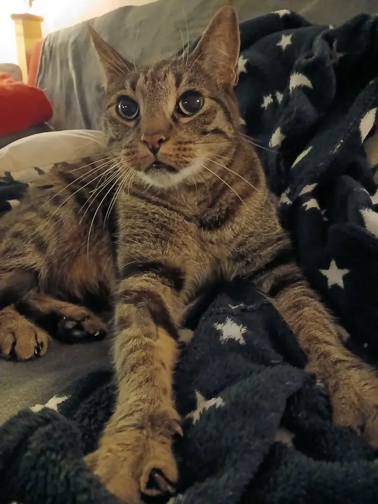 Bild von Theo