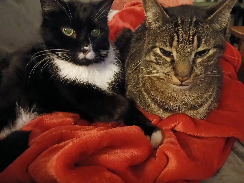 Theo mit seinem Freund Hugo
