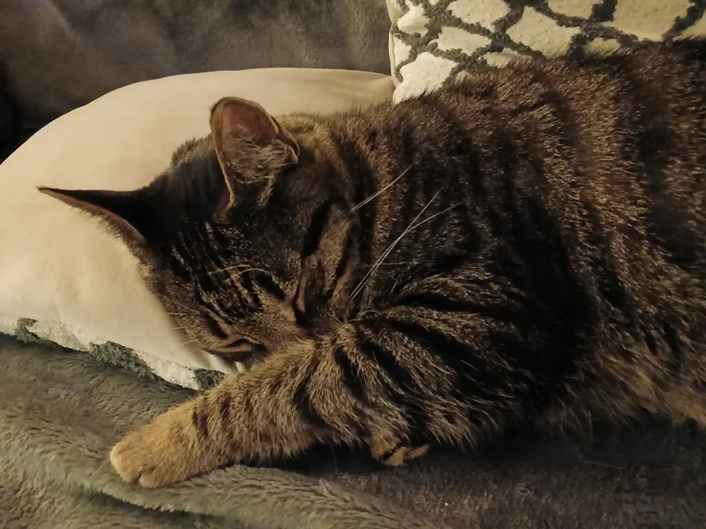 Unser schlafender Theo