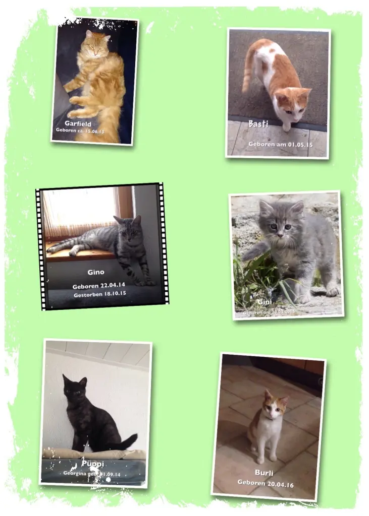 Image from Garfield