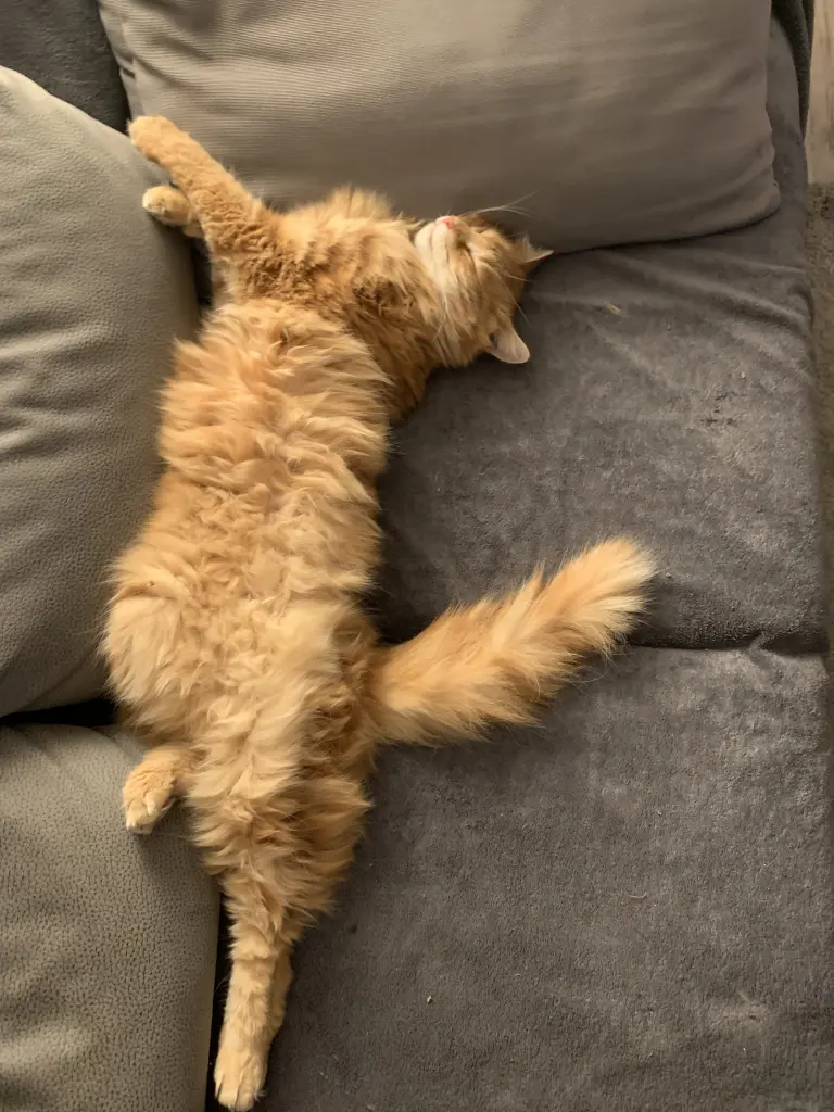 Sofa ist meins