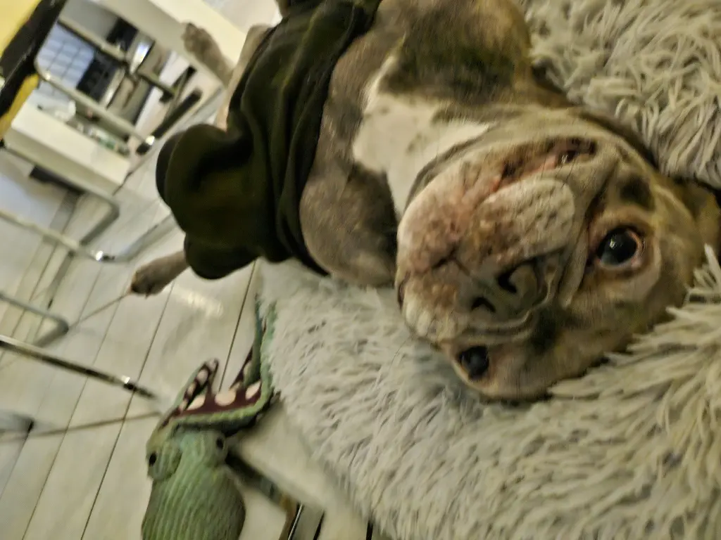 Mein kleiner Clown