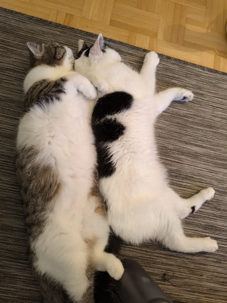 Image from Potap