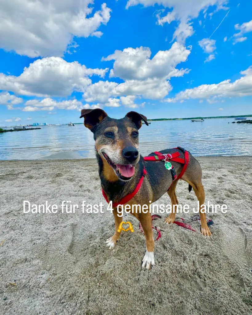Image from Manta