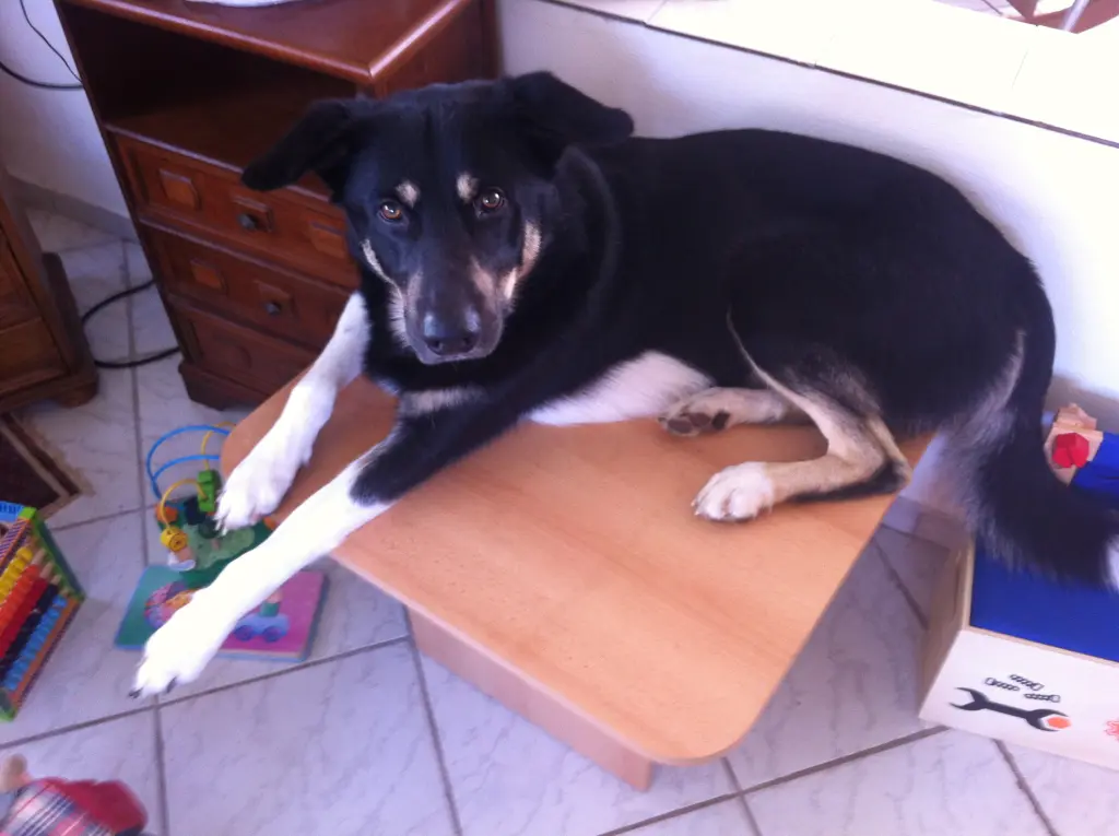 Andachtsbild von Ramona Hauser