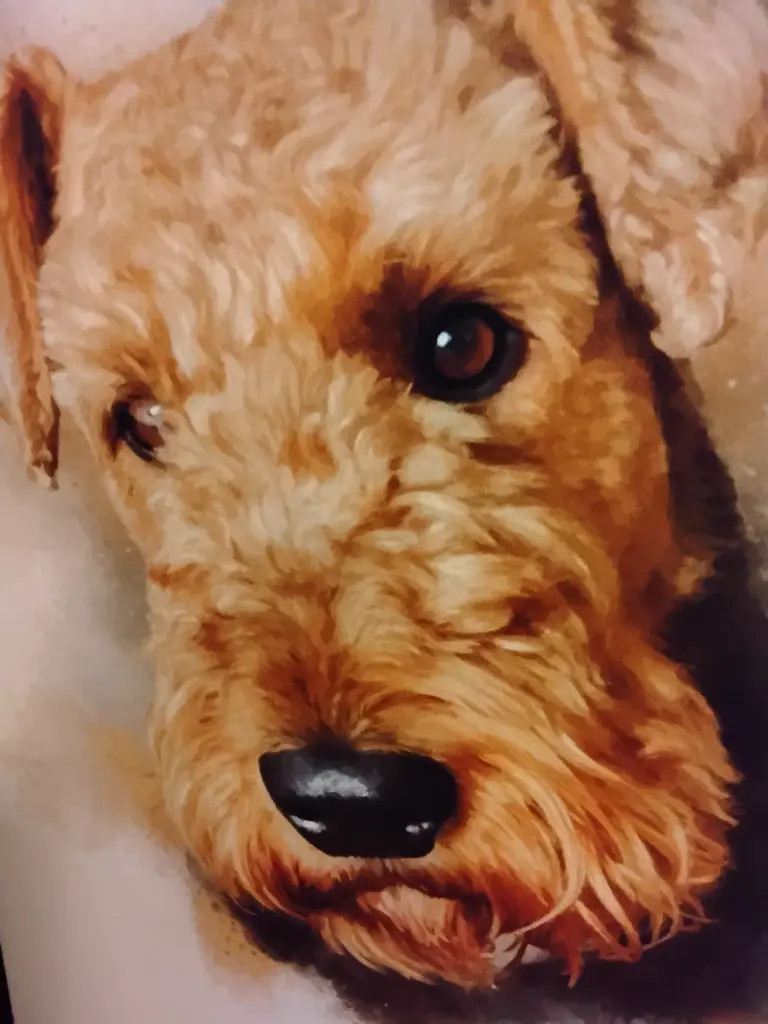 Condolence image of Susanne