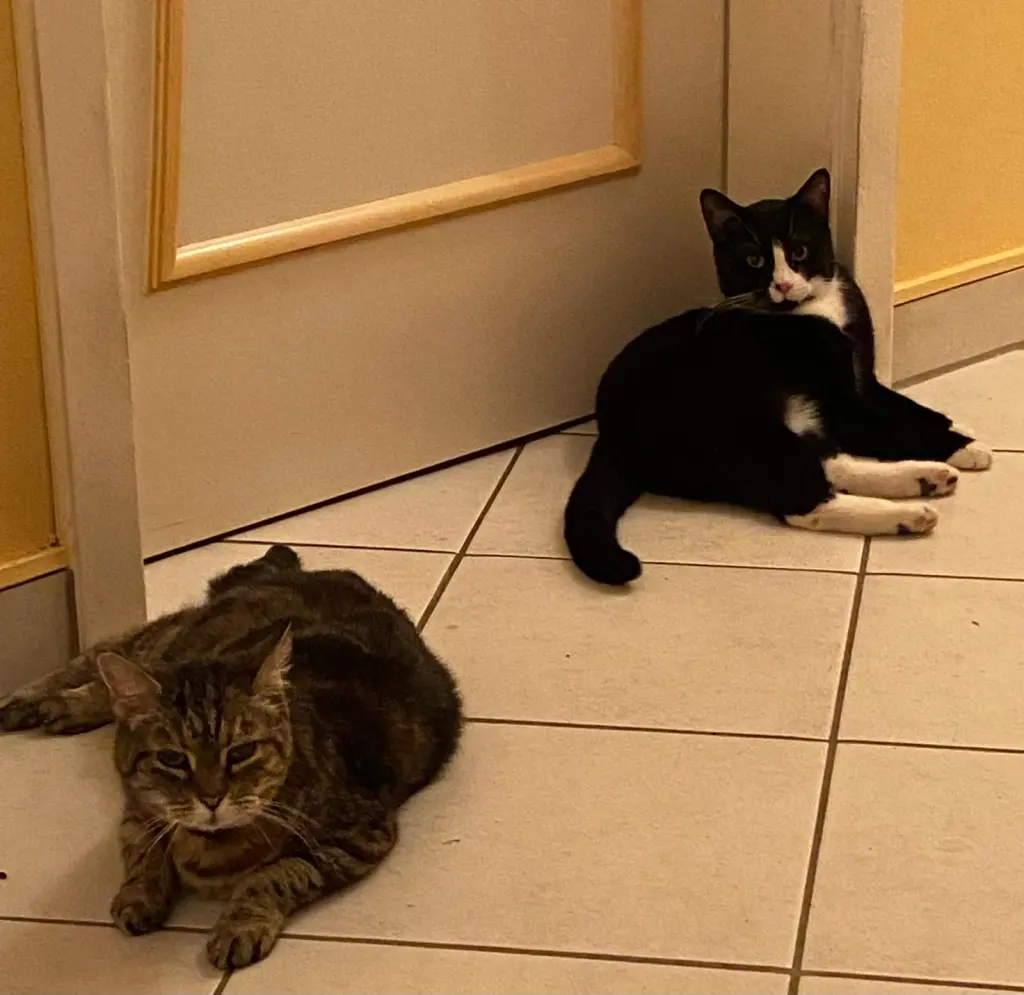 Leila und Lino