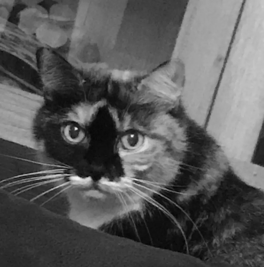 Condolence image of Jasmin Nowack