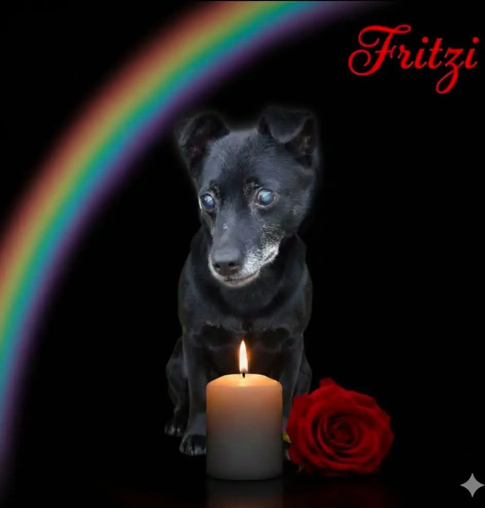 Bild von Fritzi