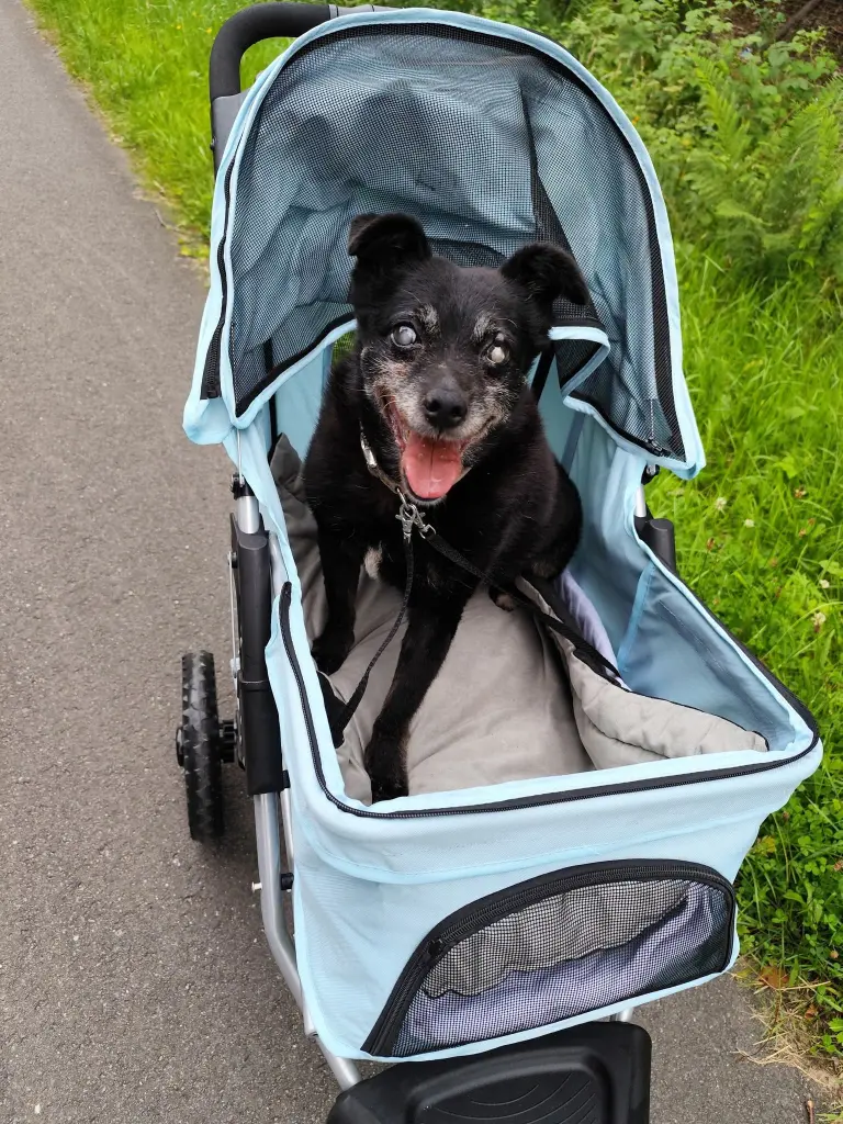 Bild von Fritzi