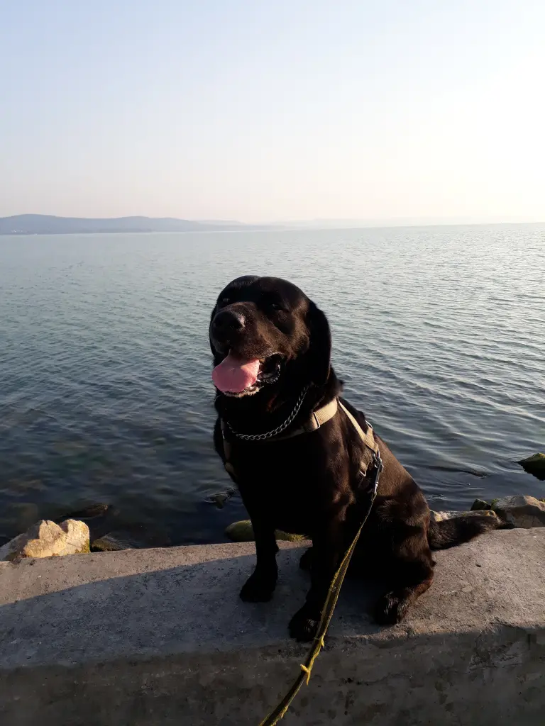 Am Balaton