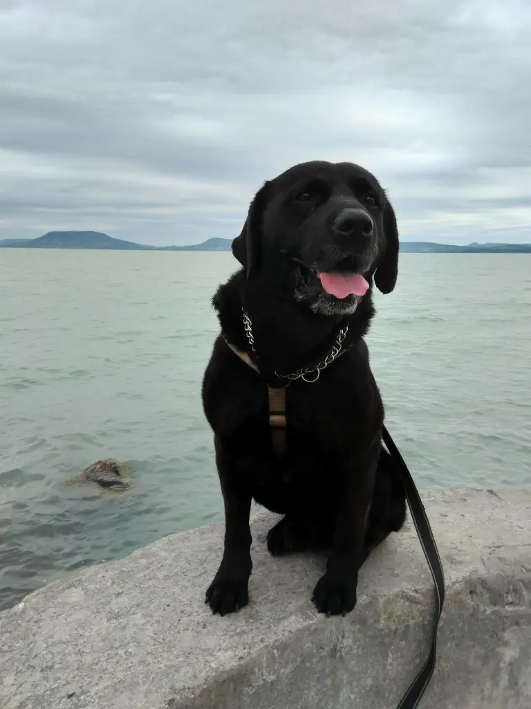 Am Balaton