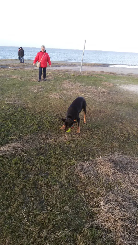 Image from Lucky
