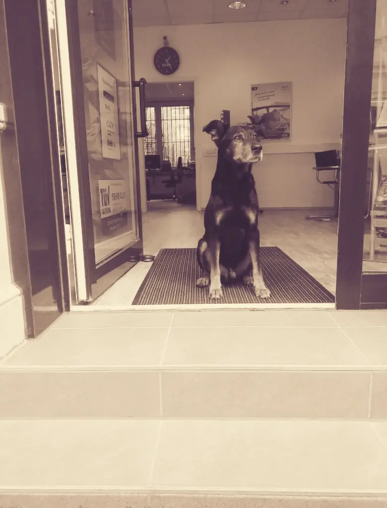 Image from Lucky