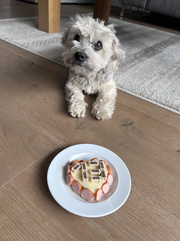 Der letzte Geburtstag