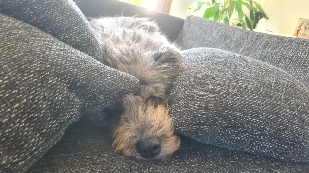 Andachtsbild von Kerstin Bornemann