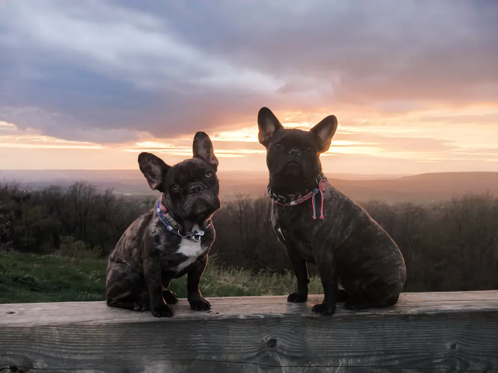 Andachtsbild von Diana