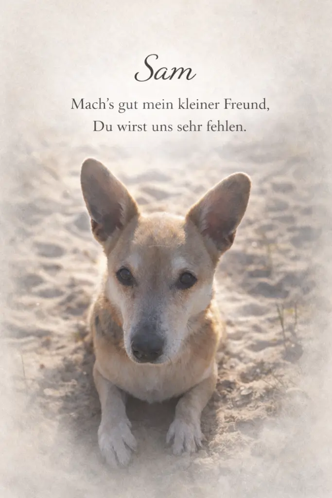 Condolence image of Tatjana Koch