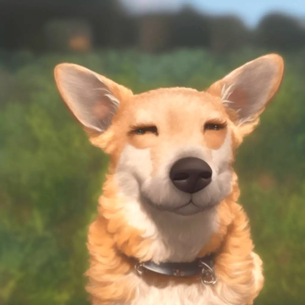 Image from Sam