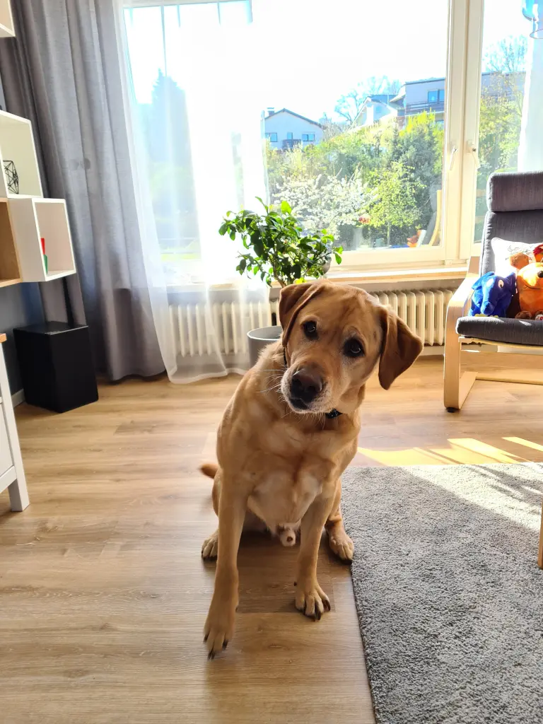 Bild von Marley