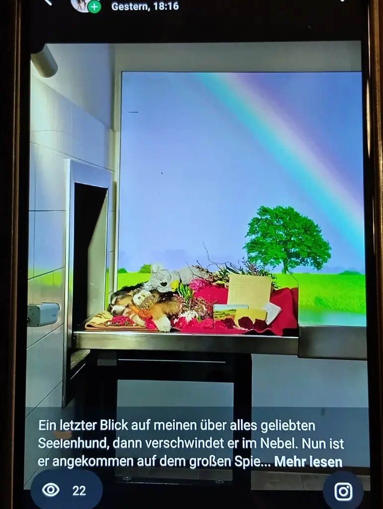 Ein letzter Blick - auf zur großen Reise