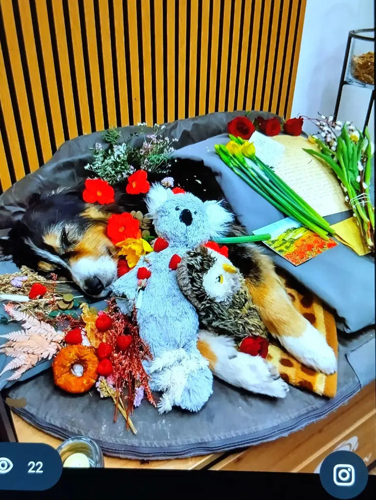 Ein letztes Mal Kuscheln - Bis bald