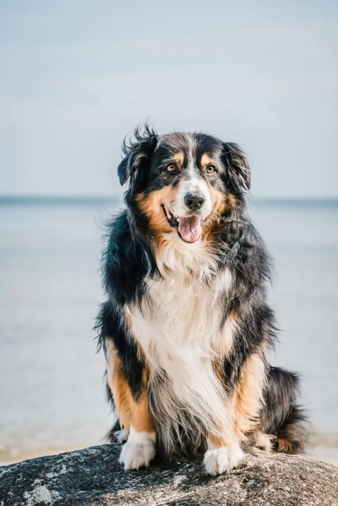 Sonne, Wind und Meer - unsere große Liebe