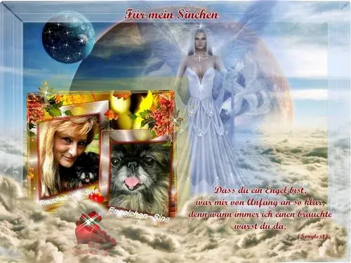 Image from dich meine Sina - mein himmlischer Seelenhund