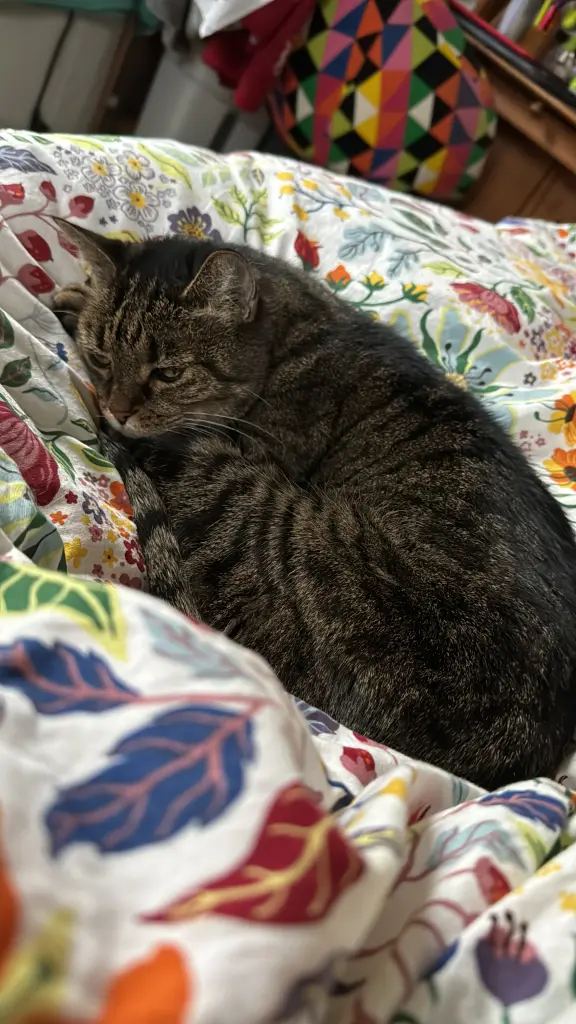 Ihr Platz , ihr Bett. Ich durfte auch auf der Seite liegen