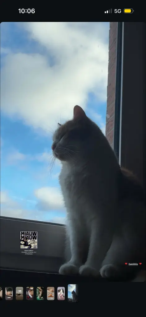 Image from Garfield