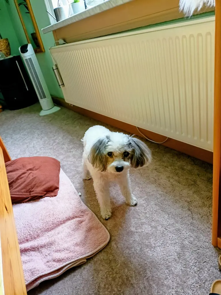 Bild von Tina