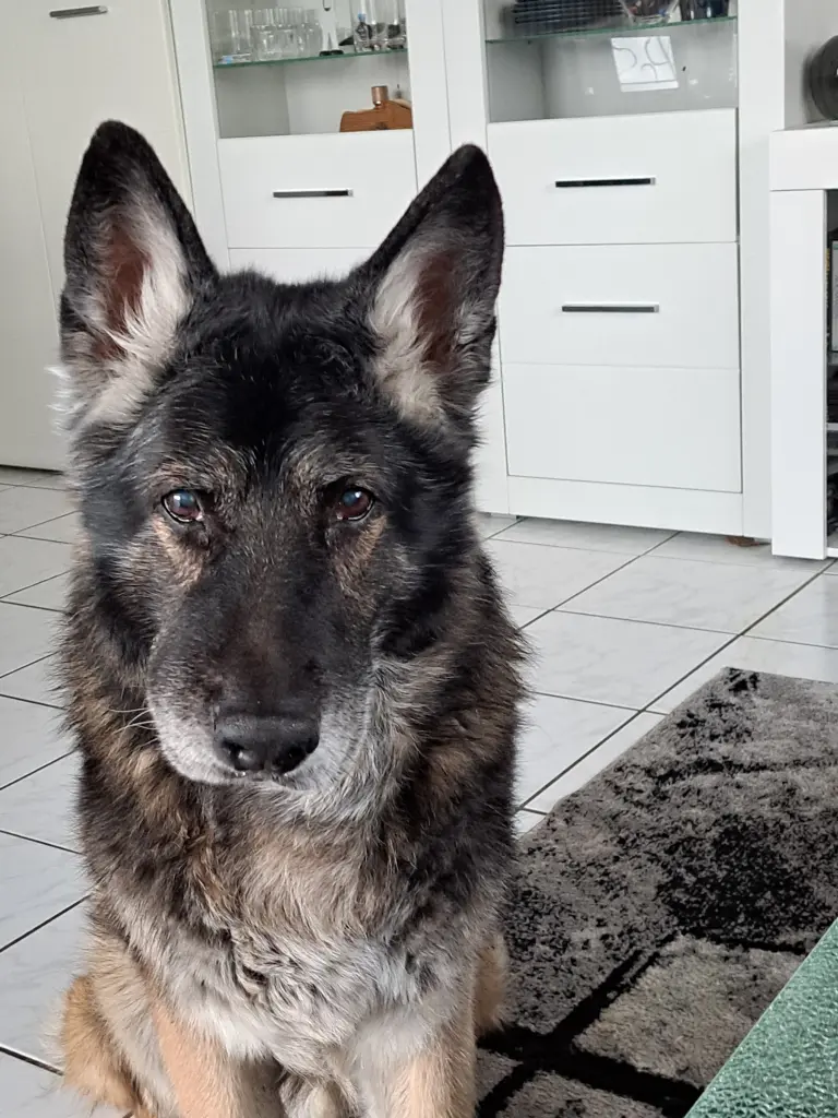 Da hattest du schon den Krebs
